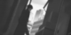 0i5xoemt64sqq45p68k8.png