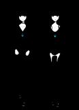 4caf3a0diylzm8obqs9j.png