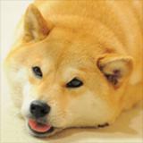 8hbz79yf4fsv5mywqd3.png