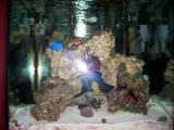935ps6c3ofxfpeyk8rak.jpg