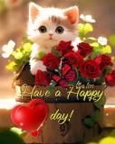 9dgubwf11dgmhmuqbch6.jpg