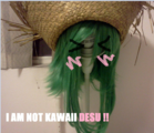 anj2lihxeq48jk71p.png