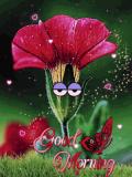 qrpc9zofgjwvi2jn3y.gif