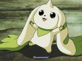 tshs6h2213rqgwe3whl2.gif